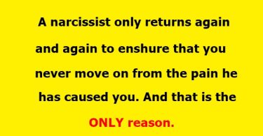 Narcissist Always Return